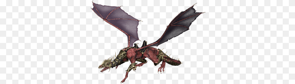 Dragon Head Up Stickpng Nightwing Roblox Wings Of Fire Png