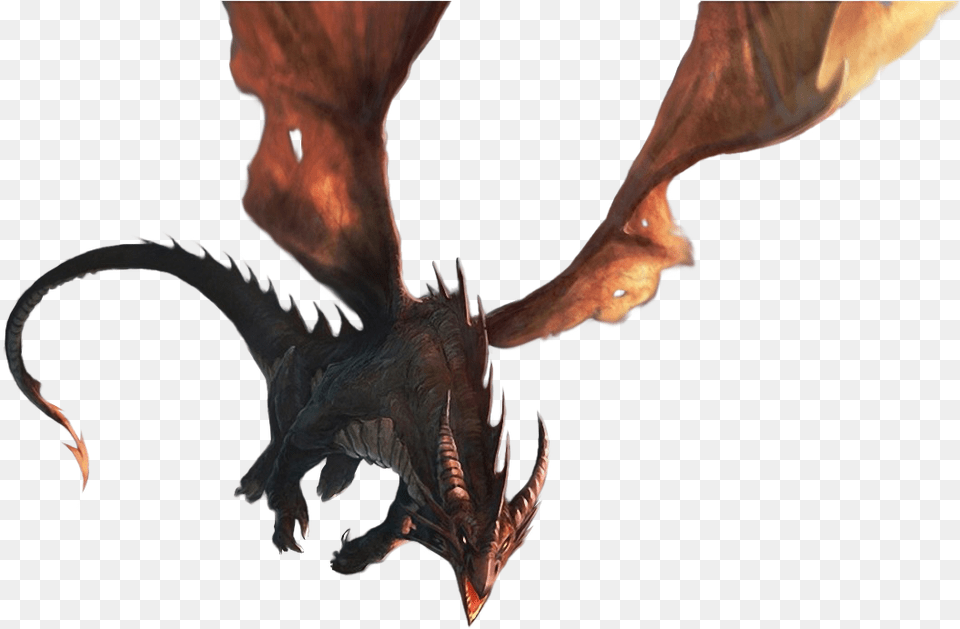 Dragon Hobbit Smaug, Person Free Png