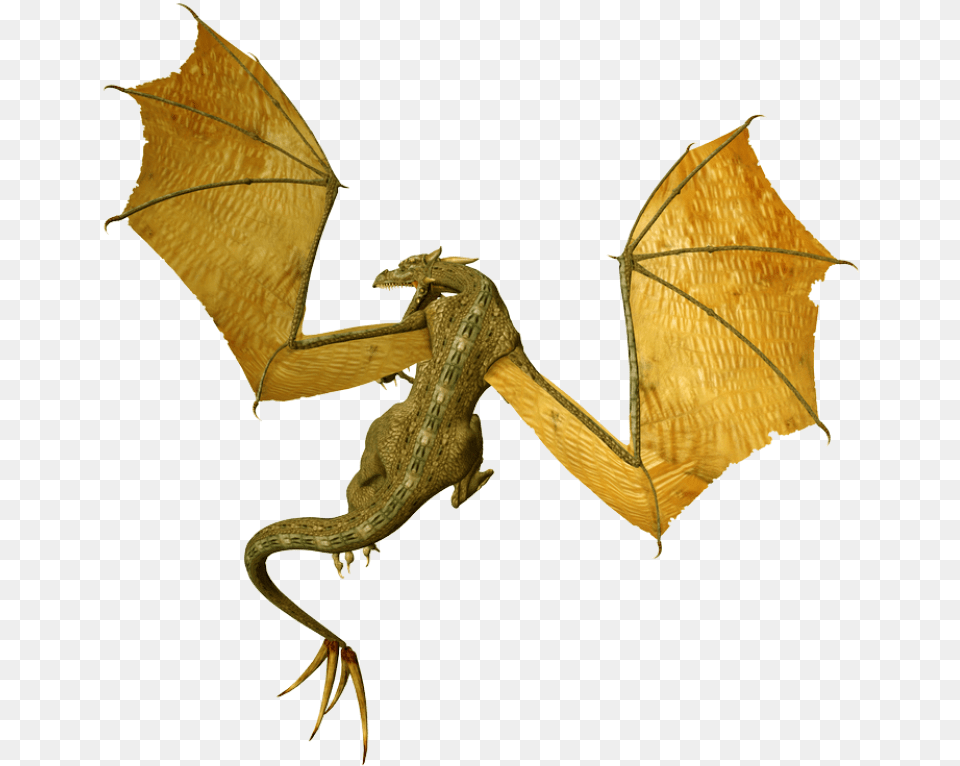 Dragon Image Dragon, Animal, Dinosaur, Reptile Free Transparent Png