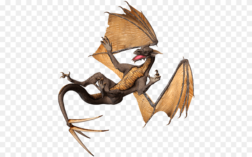 Dragon For Dragon, Animal, Bird Png Image