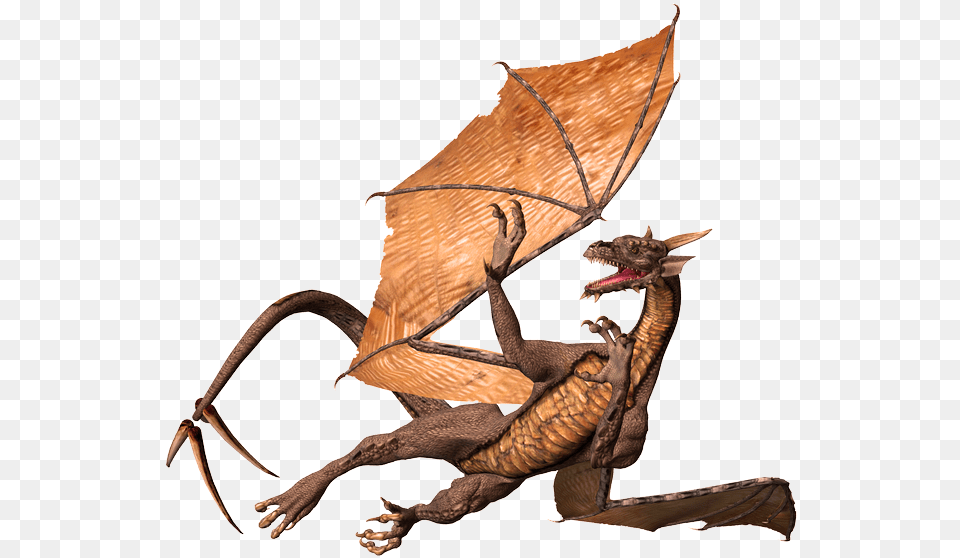 Dragon Image For Free Download Dragon, Animal, Dinosaur, Reptile Png