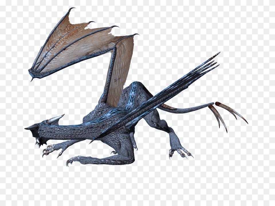 Dragon Images Drago Picture, Animal, Lizard, Reptile, Art Png