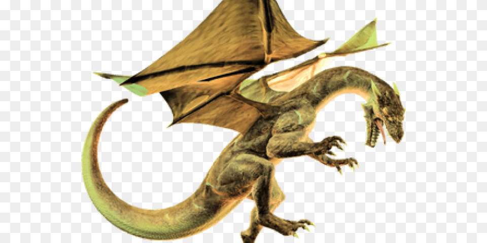 Dragon Images Dragon De Harry Potter, Animal, Dinosaur, Reptile Png