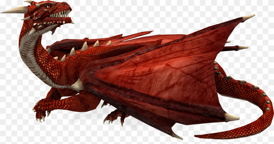 Dragon Images Download Realistic Red Dragon, Animal, Dinosaur, Reptile Free Transparent Png