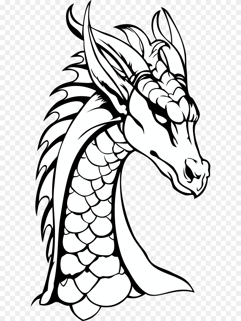 Dragon Neck The Head Of The Picture Dragons Black And White, Person Png Image