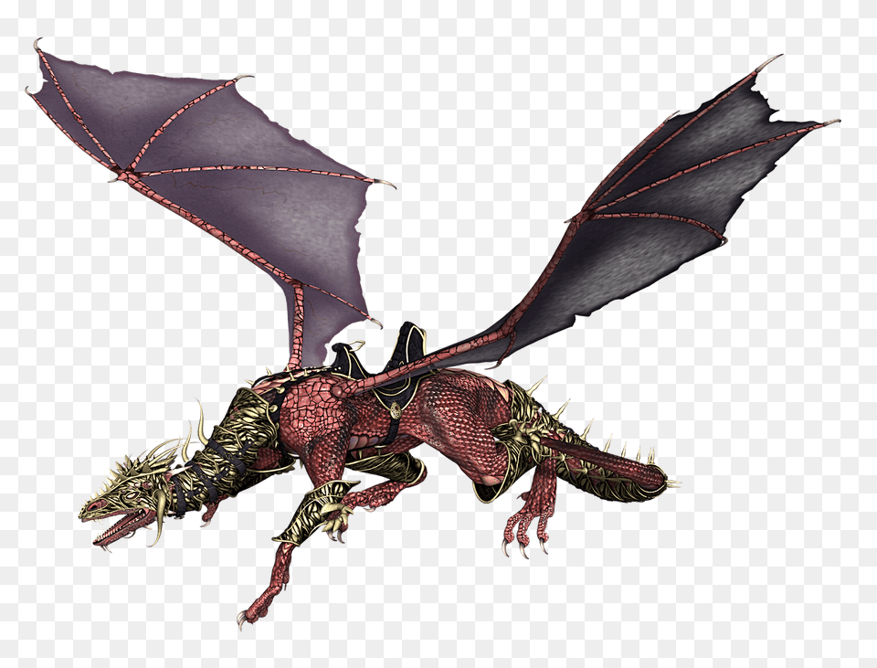 Dragon Purple, Animal, Bee, Insect, Invertebrate Free Transparent Png