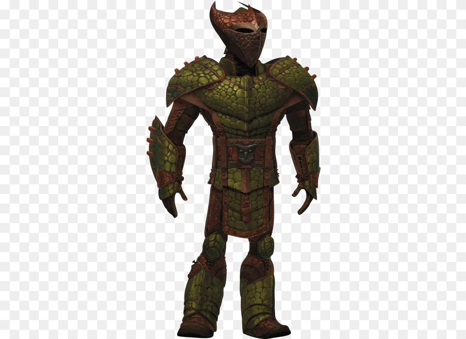 Dragon Scale Armor How To Train Your Wiki Dragon Scale Armor, Person Png Image