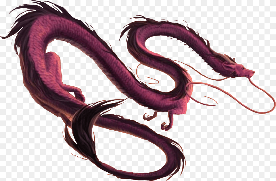 Dragon Serpent Draco Chinese Chinesedragon Sky Magic Illustration, Plant Free Png Download