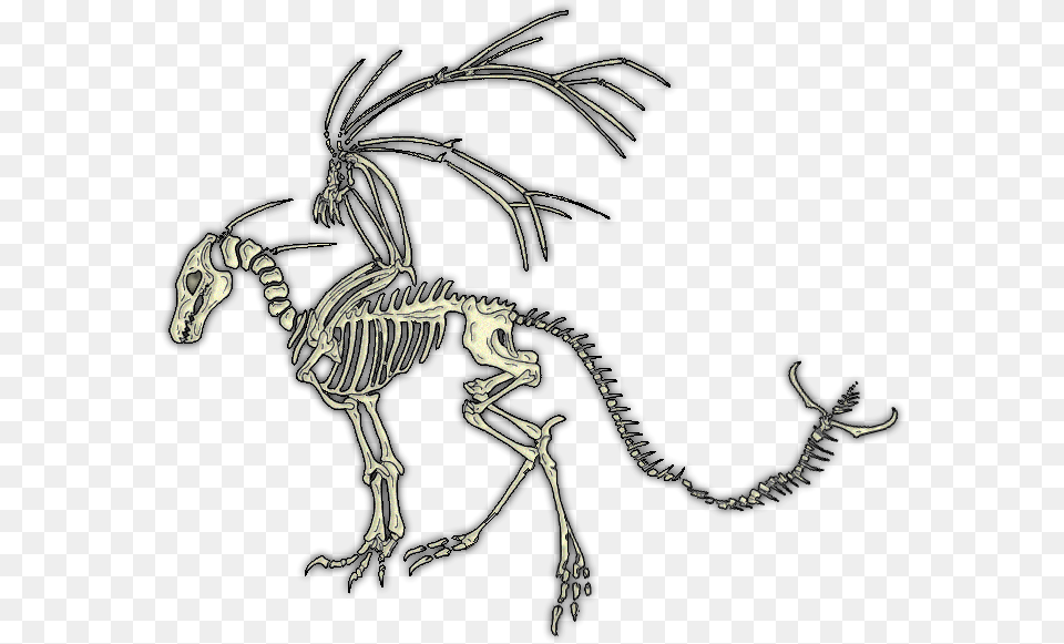 Dragon Skeleton No Background, Animal, Antelope, Mammal, Wildlife Png Image