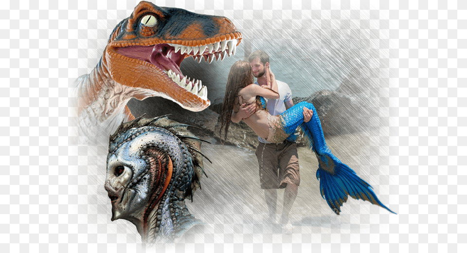 Dragon Skin Series Dragon Silicone, Person, Animal, Dinosaur, Reptile Free Transparent Png