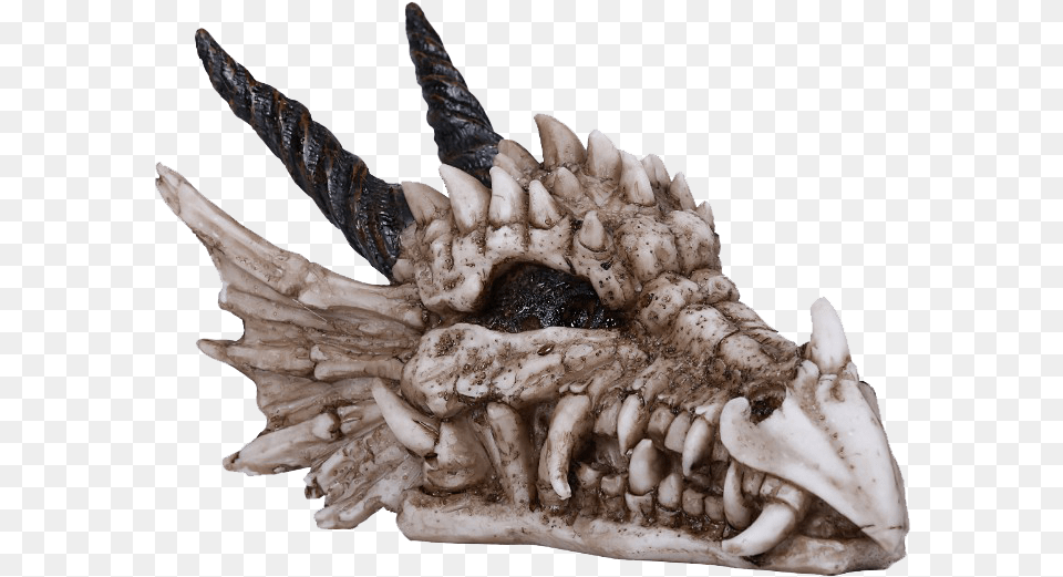 Dragon Skull Statue Statue, Electronics, Hardware, Animal, Insect Free Png Download