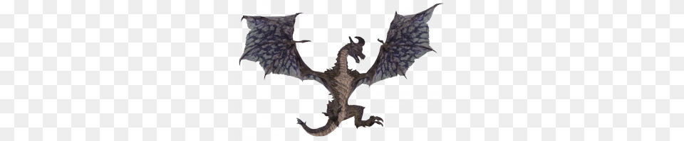 Dragon Skyrim Image, Animal, Bird, Lizard, Reptile Free Png