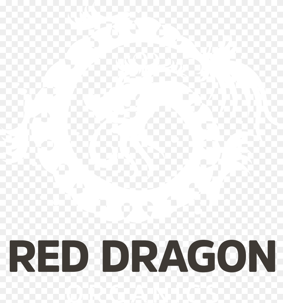 Dragon Symbol Illustration, Animal, Bear, Mammal, Wildlife Png Image