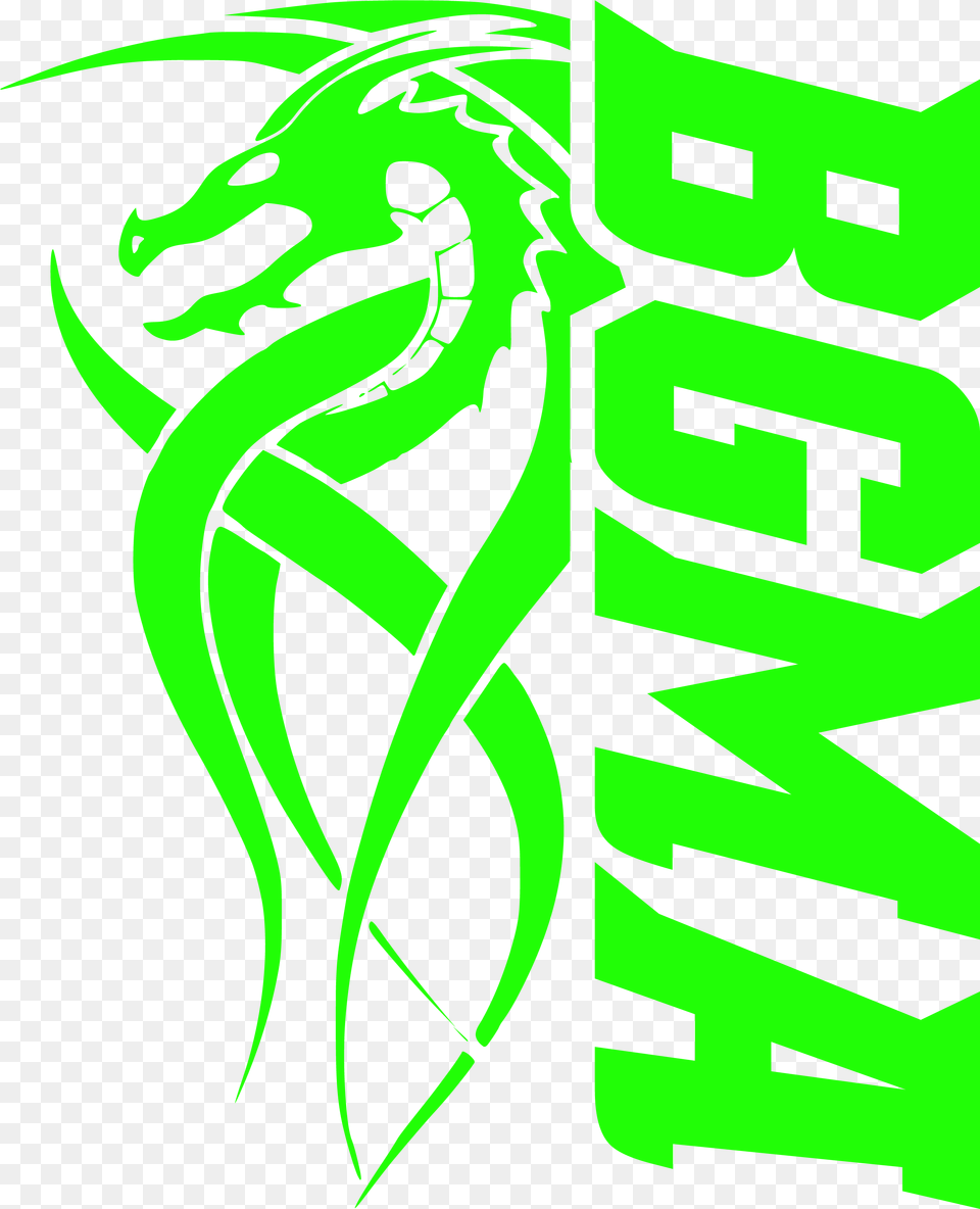 Dragon Tattoo Designs, Green, Adult, Female, Person Free Png Download