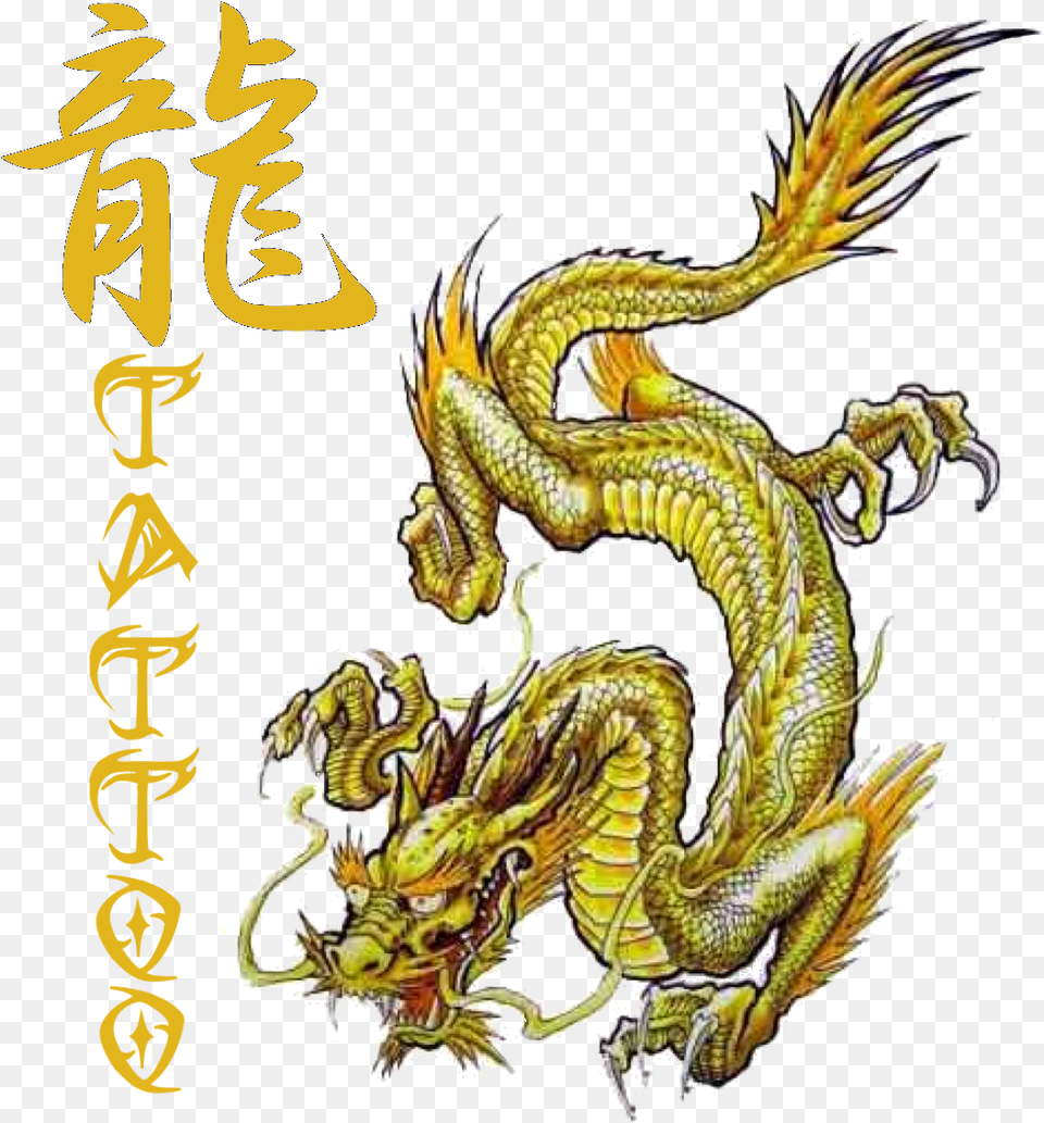 Dragon Tattoo Mad Robot Gallery Online Store Powered By Golden Dragon Koi Drawing Free Png