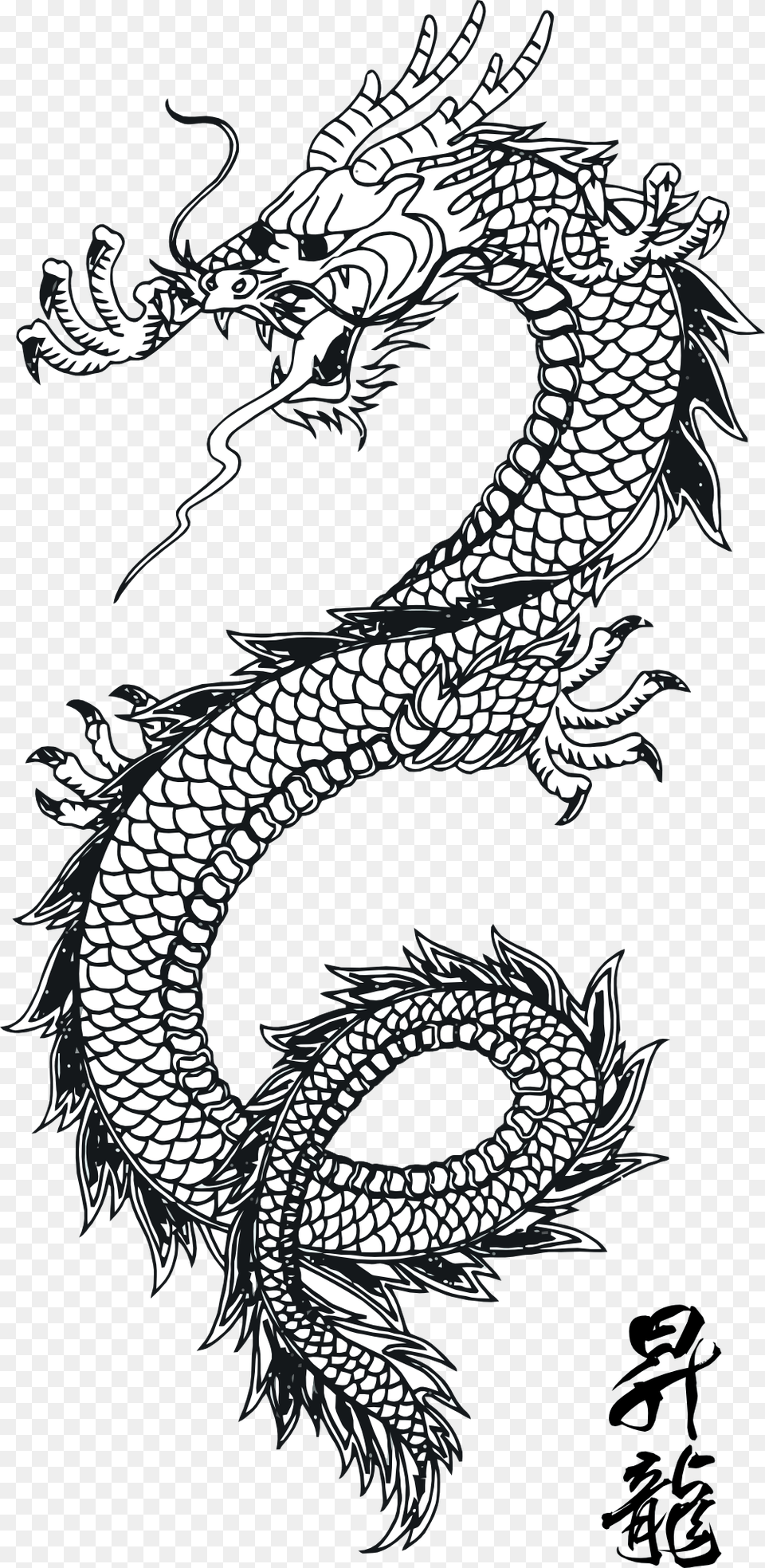 Dragon Tattoos Clipart Tattoo Dragon Vector, Animal, Bird Free Png Download