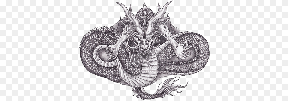 Dragon Tattoos Images Download Clip Art Mythical Dragons Tattoo Designs, Person, Skin Free Png