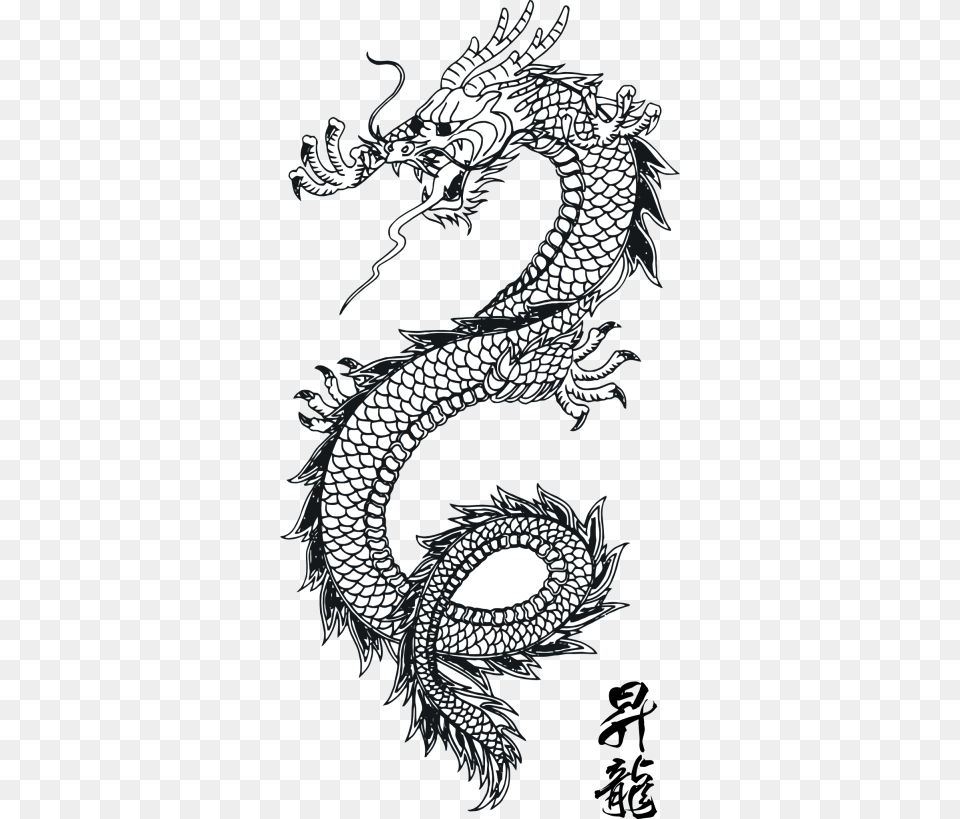 Dragon Vector Art 1 Chinese Dragon Line Art, Animal, Dinosaur, Reptile Free Transparent Png