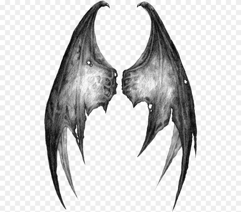 Dragon Wings Transparent Demon Wings, Accessories, Electronics, Hardware, Animal Png Image