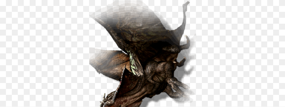 Dragon Witcher Wiki Fandom Dragon, Adult, Female, Person, Woman Png