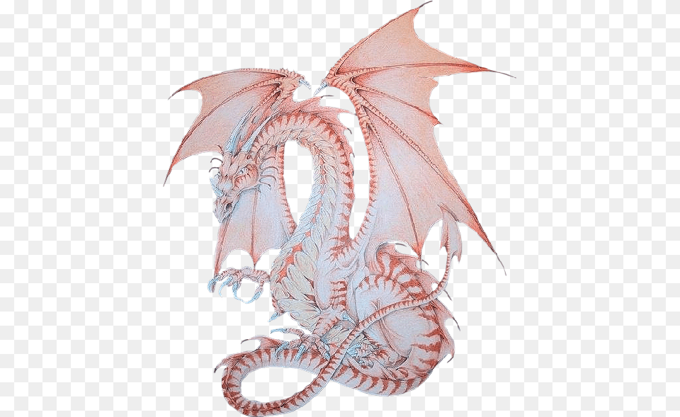 Dragon With Beautiful Wings Free Png Download