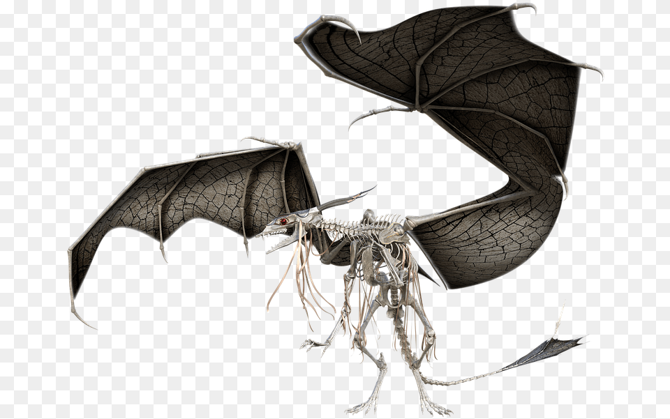Dragon Wraith Skeleton Illustration, Accessories, Animal, Insect, Invertebrate Free Png Download