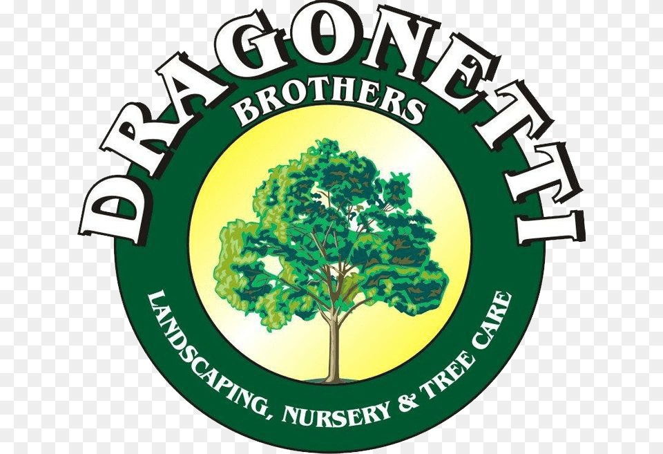 Dragonetti Brothers Landscaping, Vegetation, Tree, Plant, Green Free Png