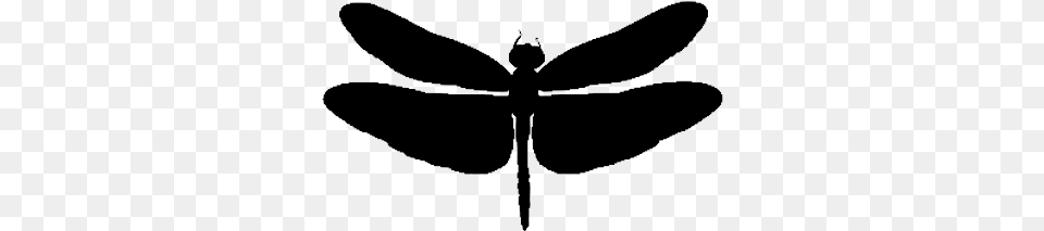 Dragonflies Illustration, Animal, Dragonfly, Insect, Invertebrate Free Transparent Png