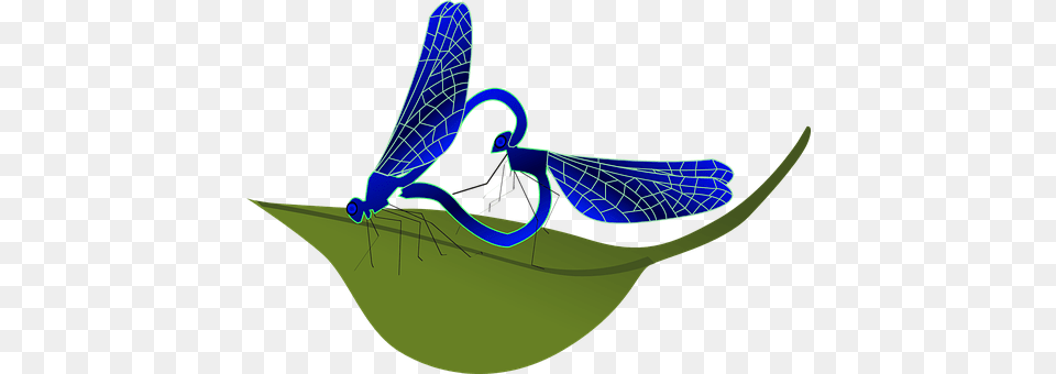 Dragonfly Animal, Insect, Invertebrate Free Transparent Png