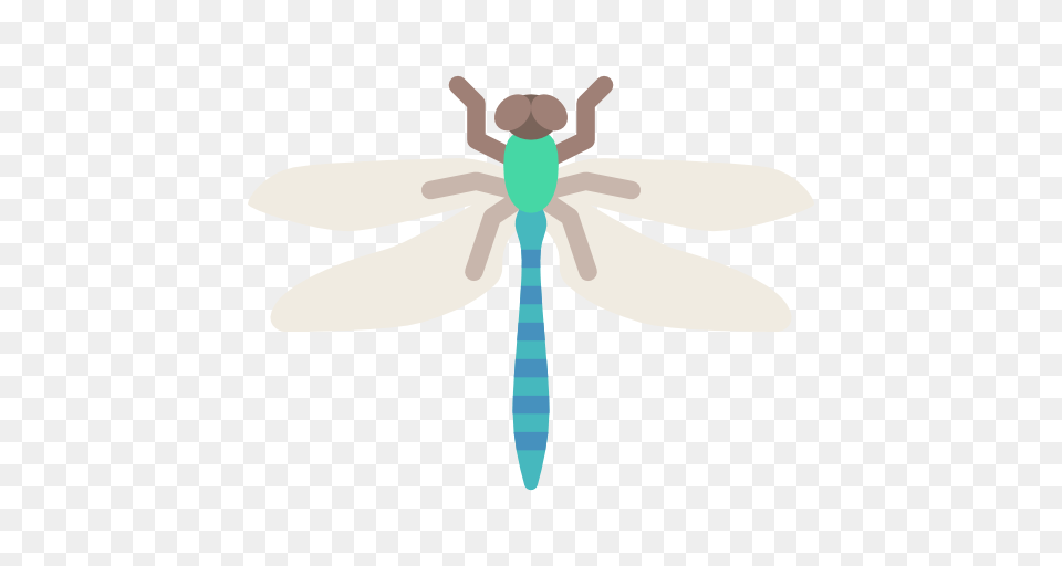 Dragonfly, Animal, Insect, Invertebrate Free Transparent Png