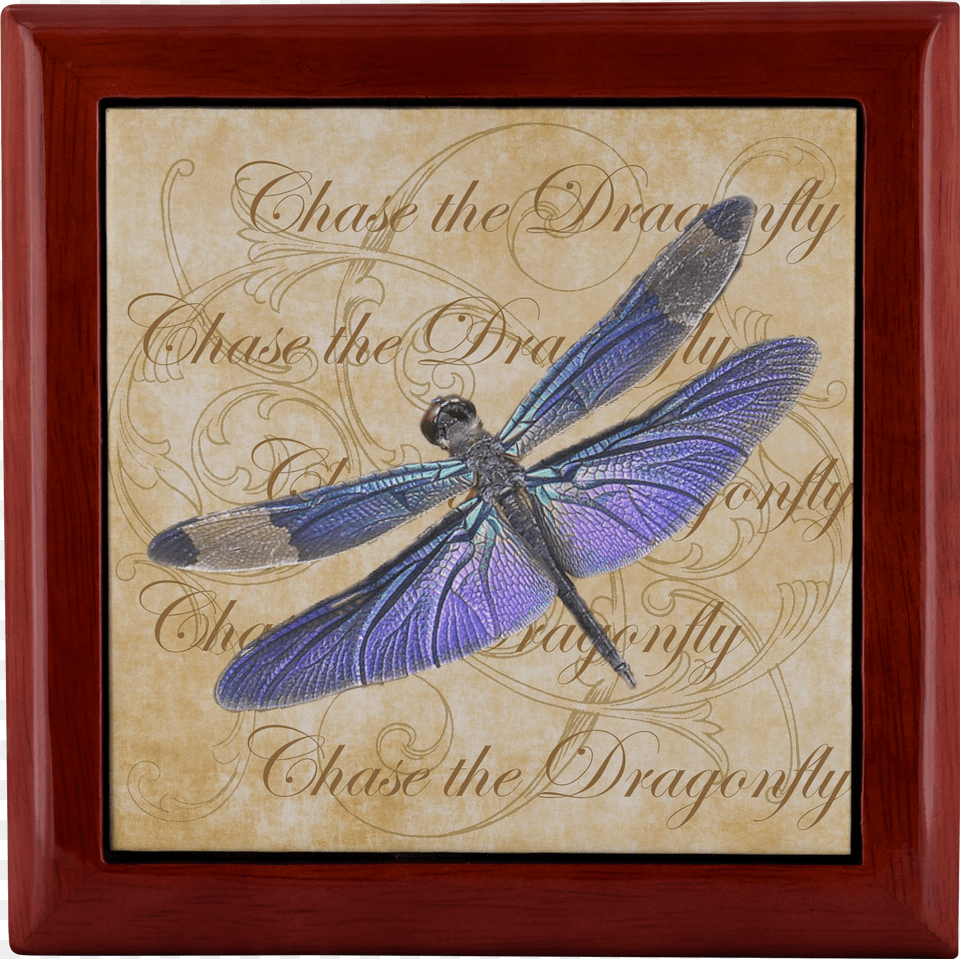 Dragonfly Free Png