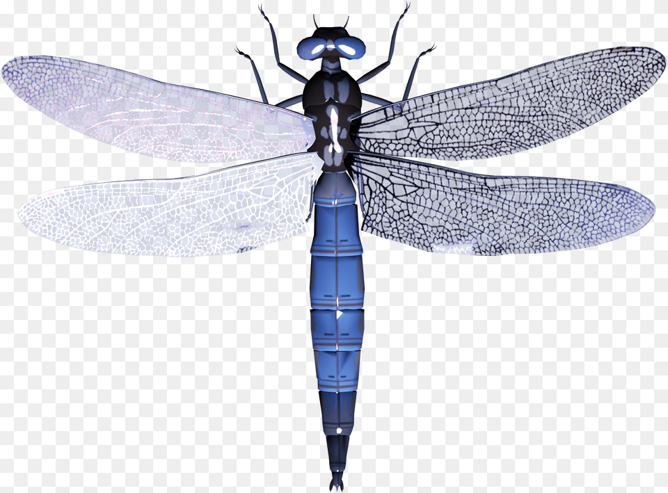 Dragonfly, Insect, Animal, Invertebrate, Aircraft Png Image