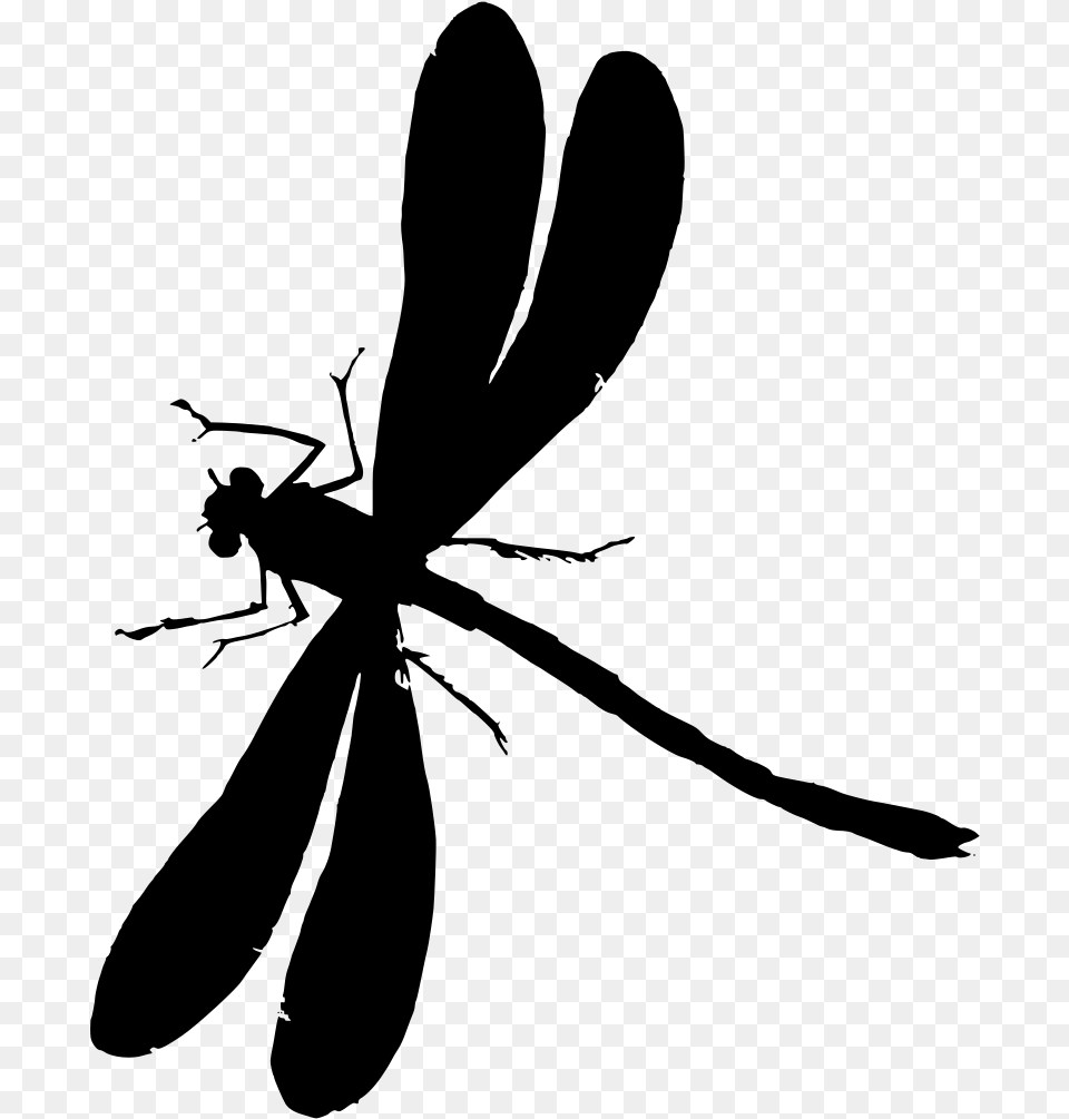Dragonfly, Gray Free Transparent Png