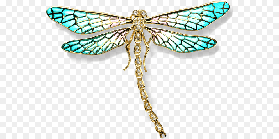 Dragonfly, Animal, Accessories, Jewelry, Insect Free Png Download