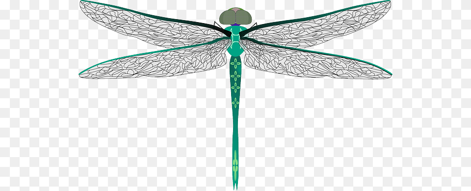 Dragonfly, Animal, Insect, Invertebrate, Blade Free Png Download