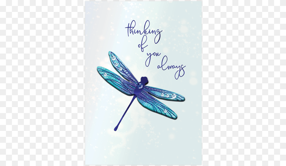 Dragonfly, Animal, Insect, Invertebrate Png Image