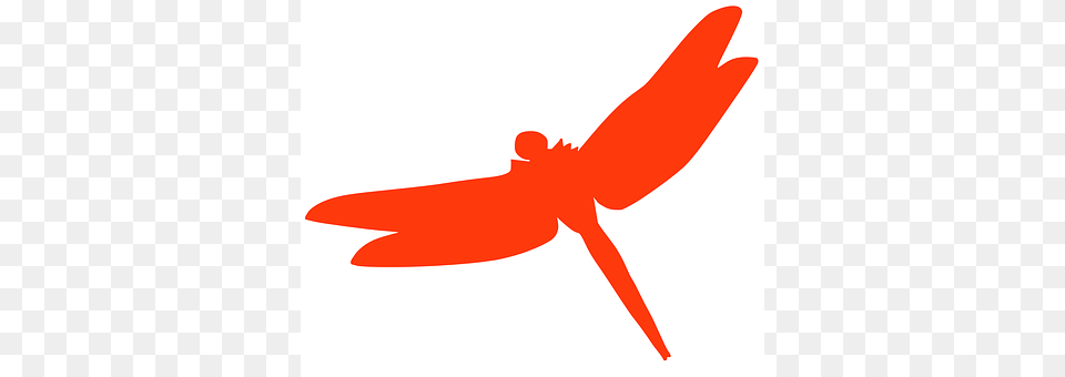 Dragonfly Animal, Insect, Invertebrate, Fish Free Png