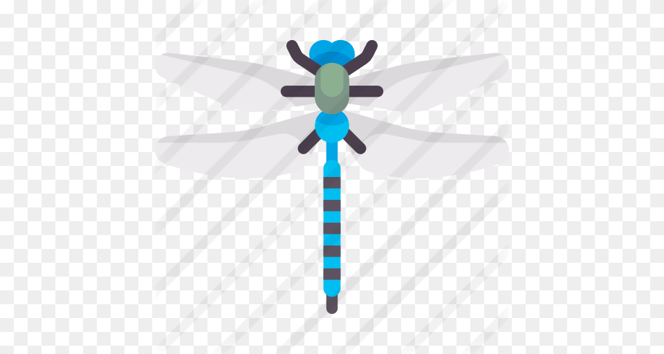 Dragonfly, Animal, Insect, Invertebrate, Cross Free Png