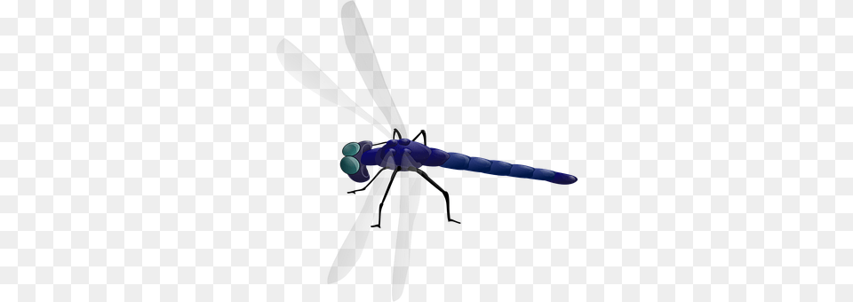 Dragonfly Animal, Appliance, Ceiling Fan, Device Free Png Download