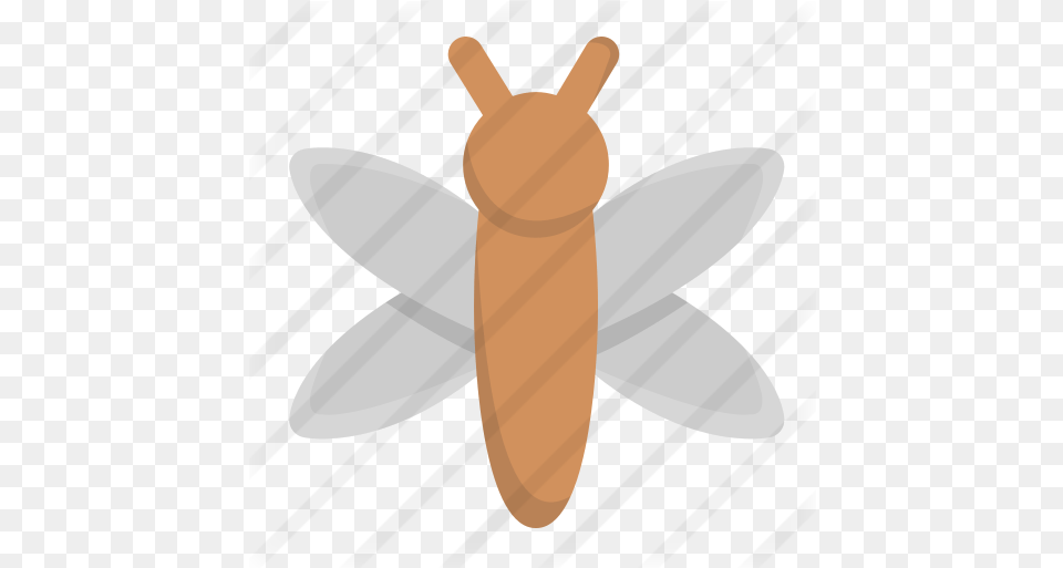 Dragonfly Animals Icons Parasitism, Animal, Fish, Sea Life, Shark Free Transparent Png