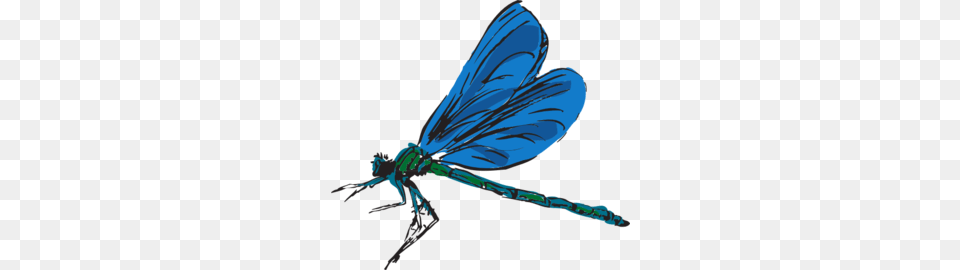 Dragonfly Art Clip Art, Animal, Insect, Invertebrate, Person Png Image