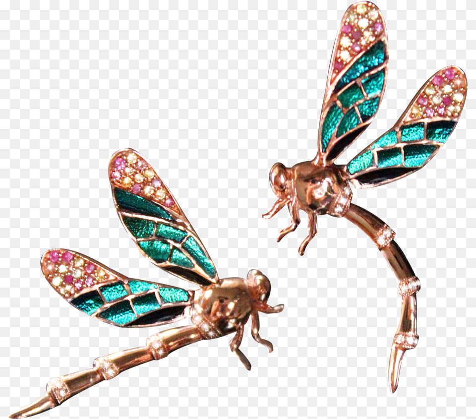 Dragonfly Brooch Net Winged Insects, Accessories, Jewelry, Animal, Insect Free Png Download