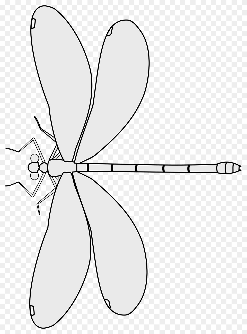 Dragonfly Calopteryx Maculata Wingveins 2 Clipart, Animal, Insect, Invertebrate, Bow Free Png