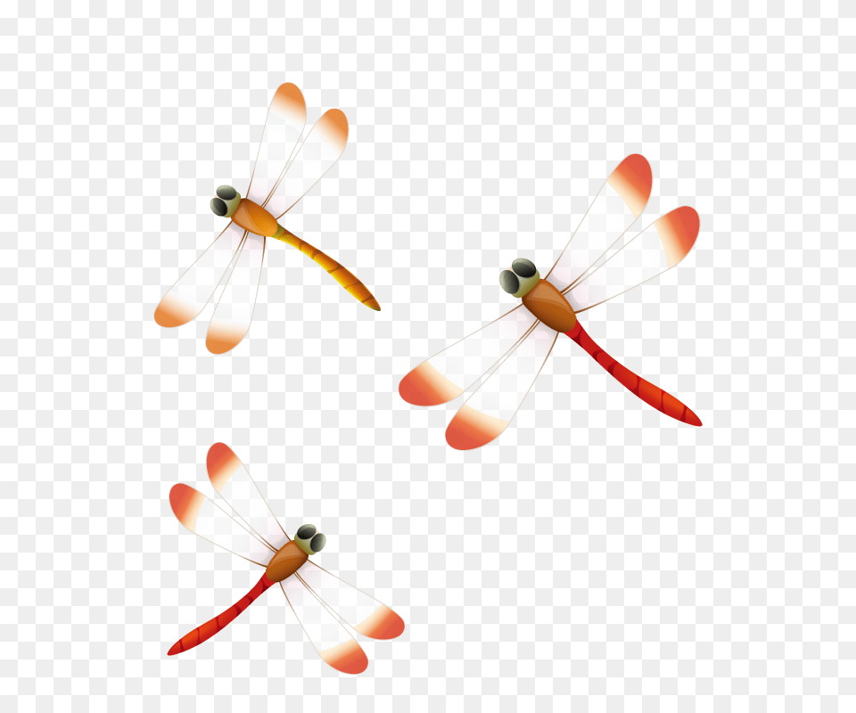 Dragonfly Clip Art, Animal, Insect, Invertebrate, Appliance Png Image