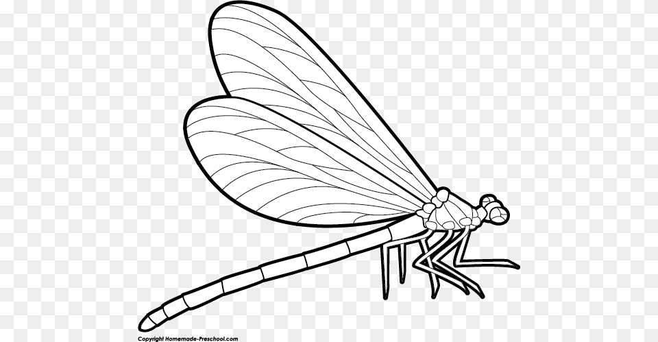 Dragonfly Clip Art In Black And White Clip Art, Animal, Insect, Invertebrate, Smoke Pipe Png Image