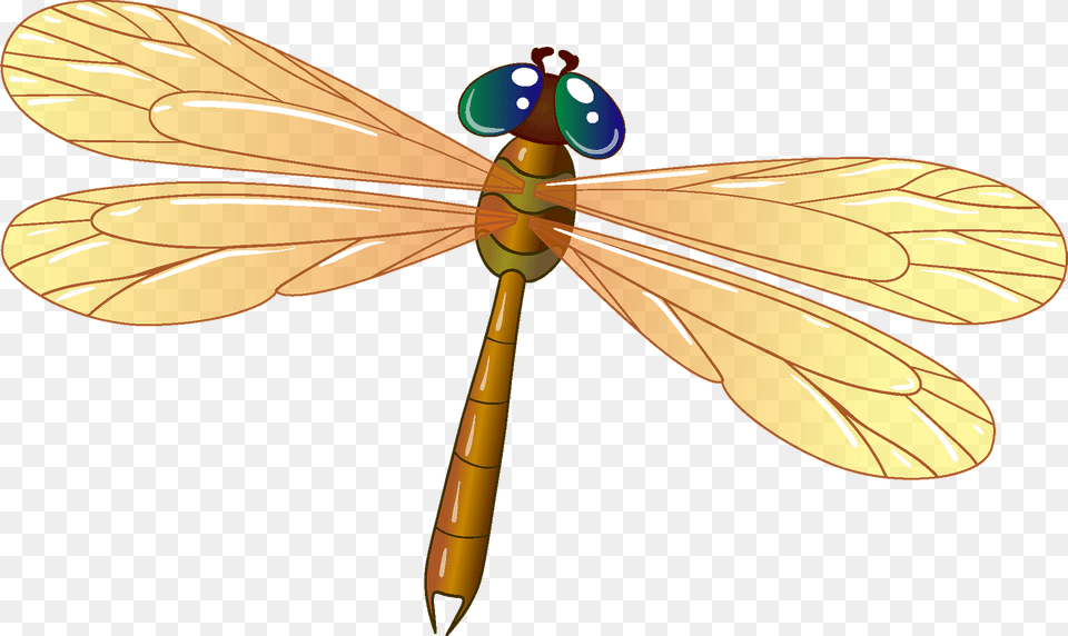Dragonfly Clipart, Animal, Insect, Invertebrate, Fish Png