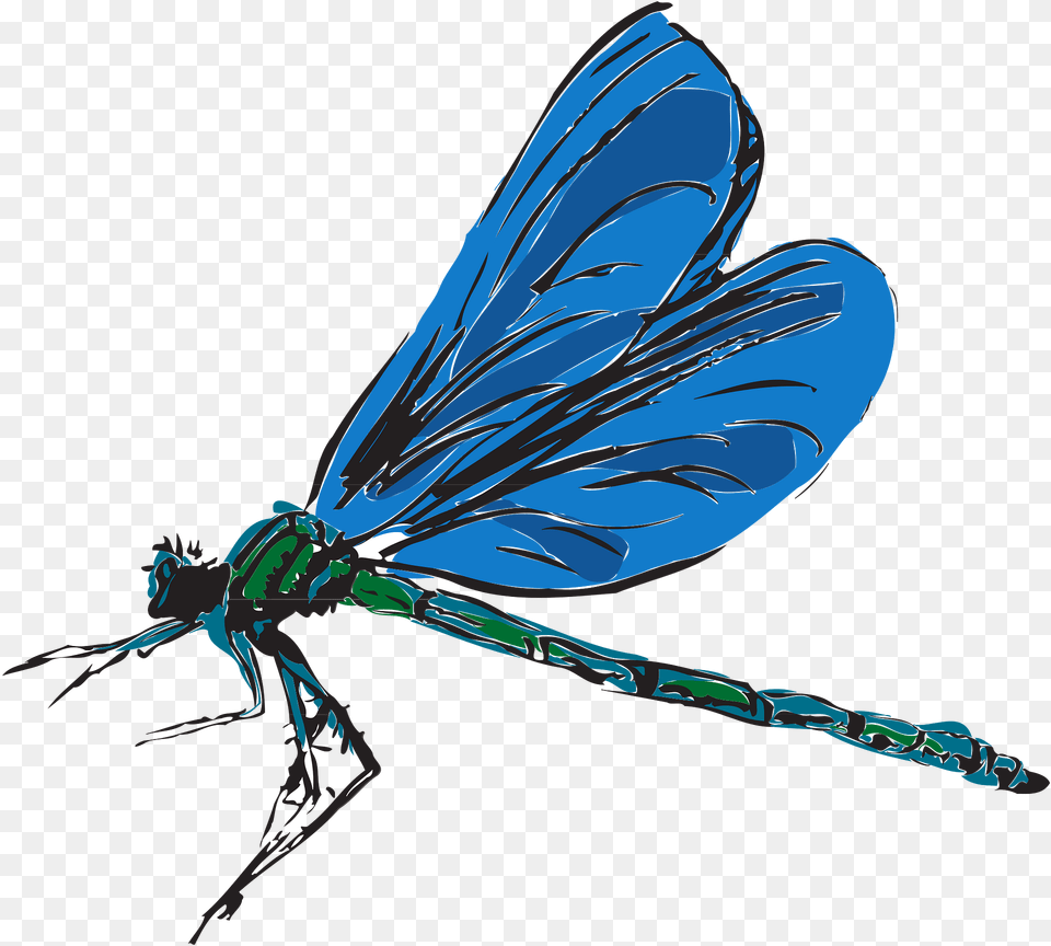 Dragonfly Clipart, Animal, Insect, Invertebrate, Fish Free Png