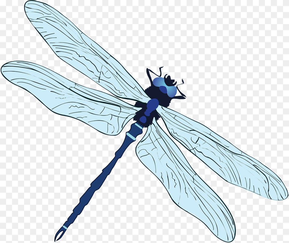 Dragonfly Clipart, Animal, Insect, Invertebrate, Fish Png Image