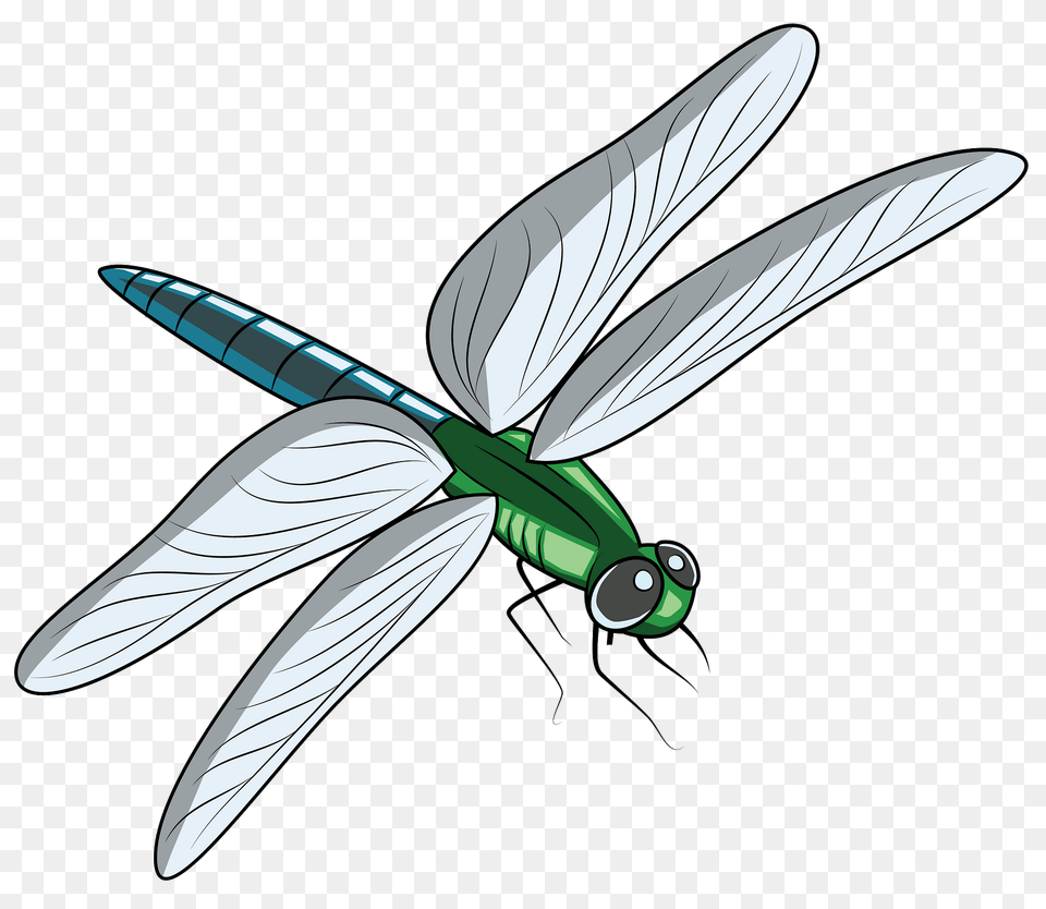 Dragonfly Clipart, Animal, Insect, Invertebrate, Fish Free Transparent Png