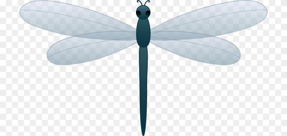 Dragonfly Clipart, Animal, Insect, Invertebrate, Appliance Png Image